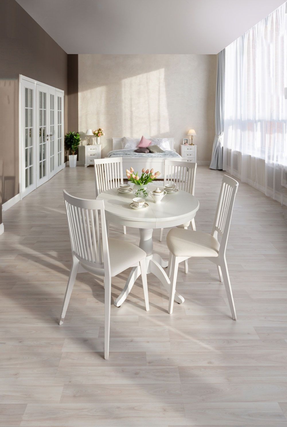 Pot Plant on Carpet — Flooring Suppliers in Laurieton, NSW