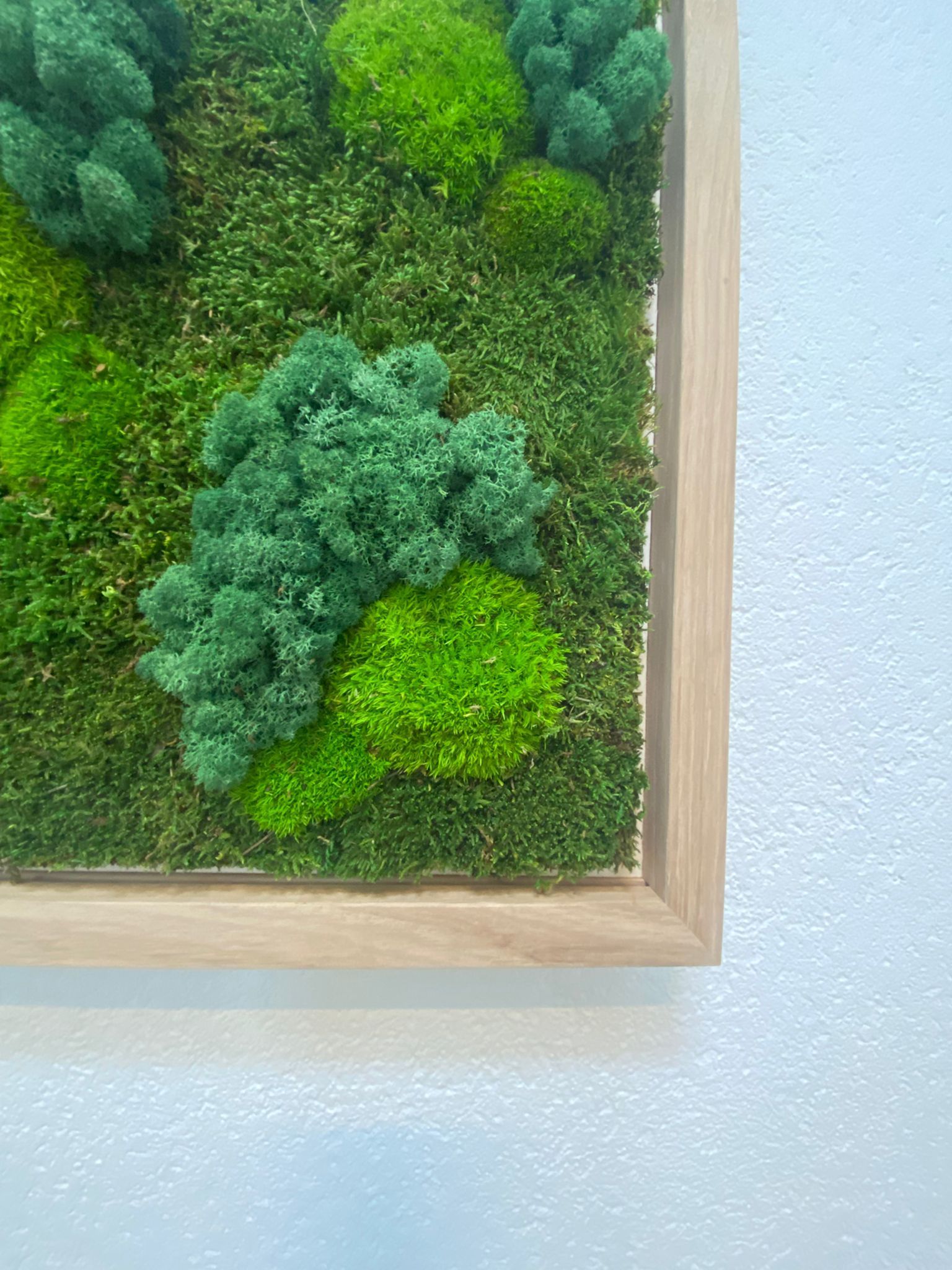 Interieur kantoor met fotolijsten met mos