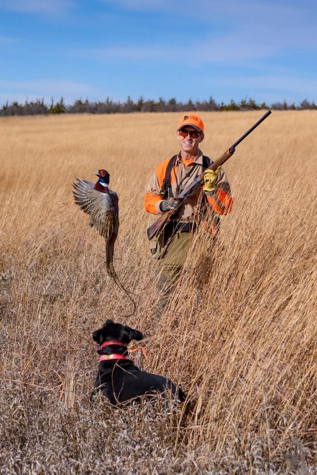 Hunter with pheasant and dog in a field, wearing orange hunting gear, holding a shotgun.