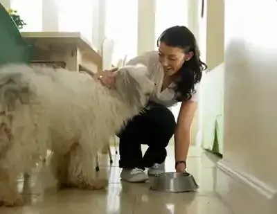 Woman petting a large, fluffy dog near a metal food bowl in a bright hallway.