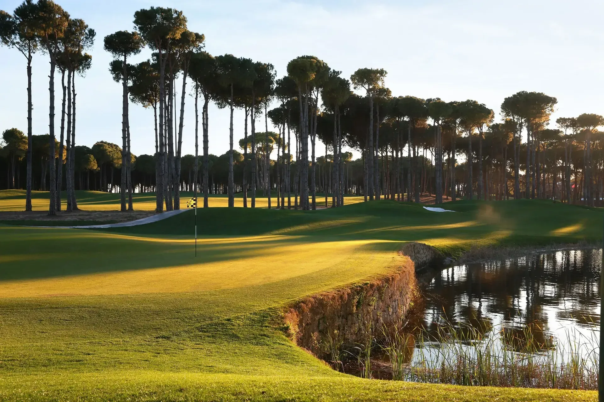 Un terrain de golf avec un fairway verdoyant, un étang et de grands pins. Le cadre est ensoleillé.