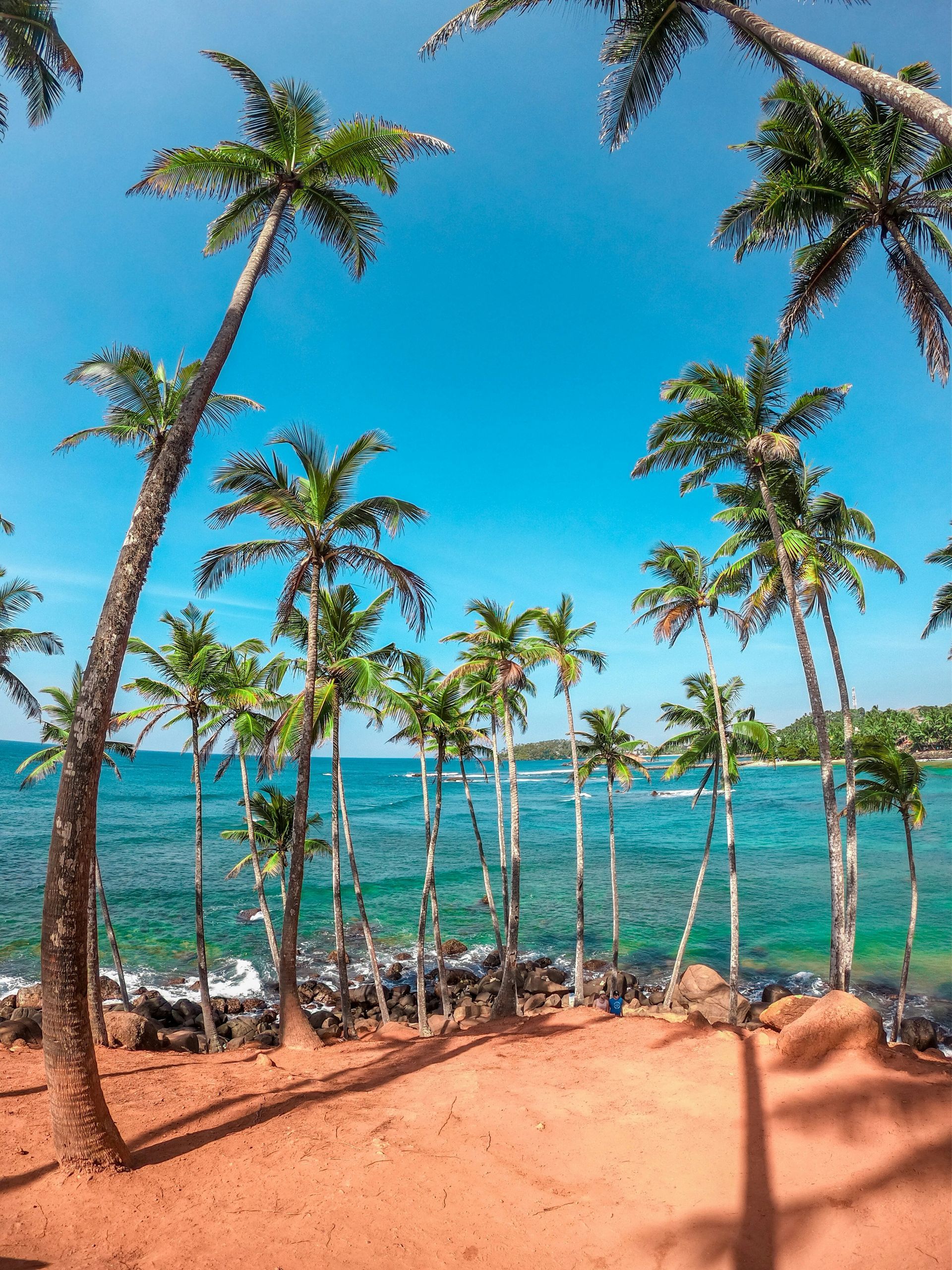 Sable doré et eaux turquoise : le sud du Sri Lanka vous attend