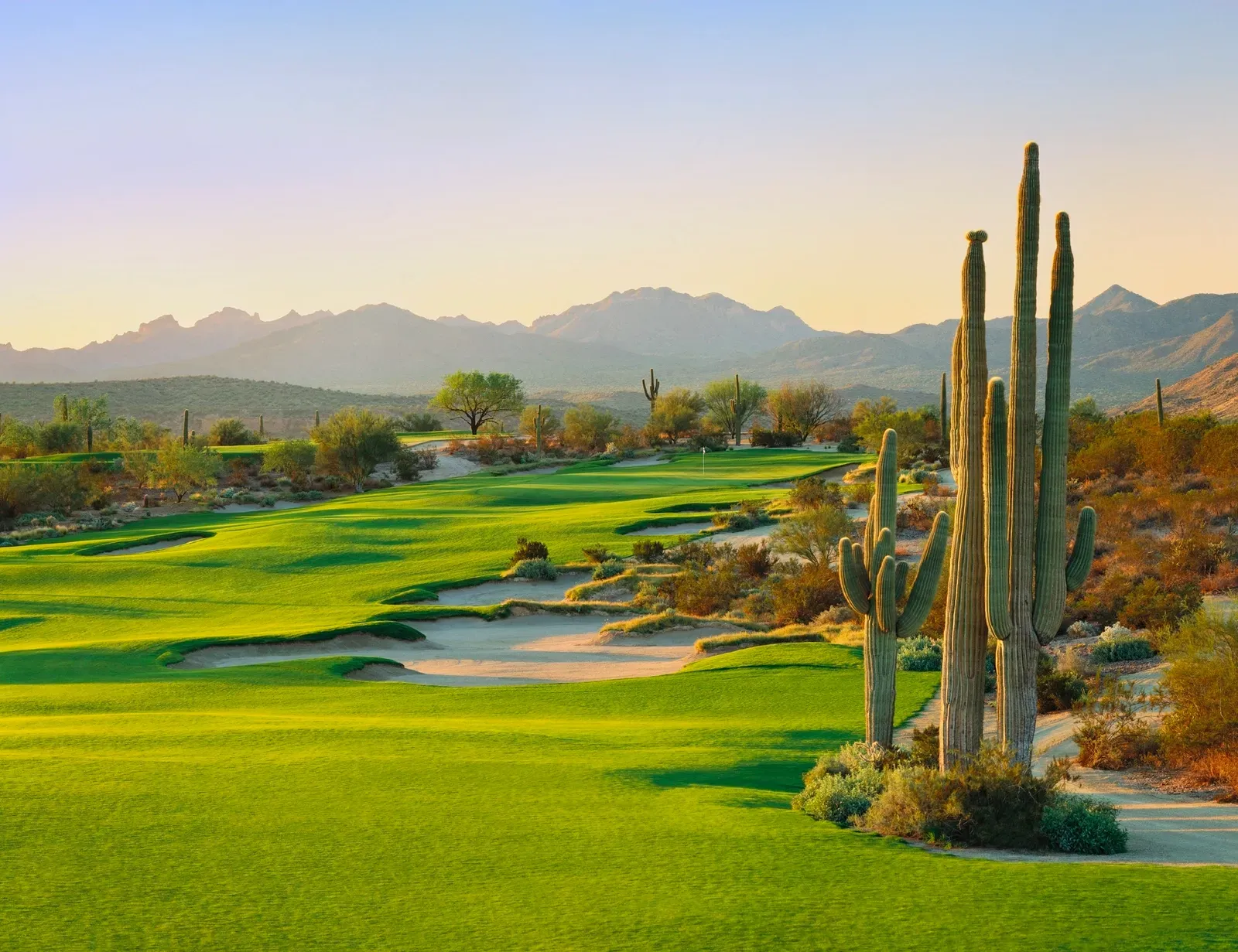 Parcours de golf dans le désert, avec des fairways verdoyants, des cactus et des montagnes au coucher du soleil