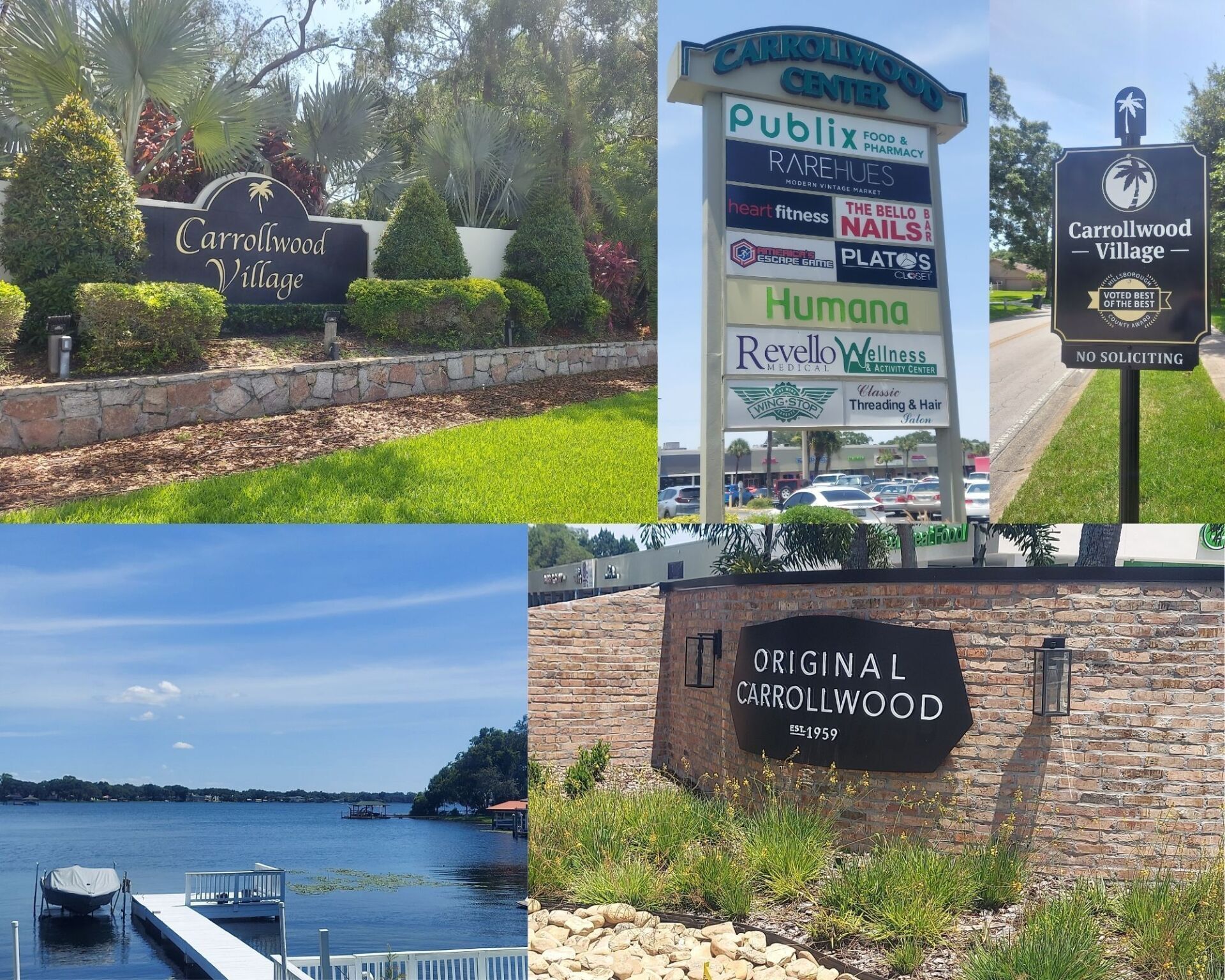 Carrollwood, FL Photo Collage