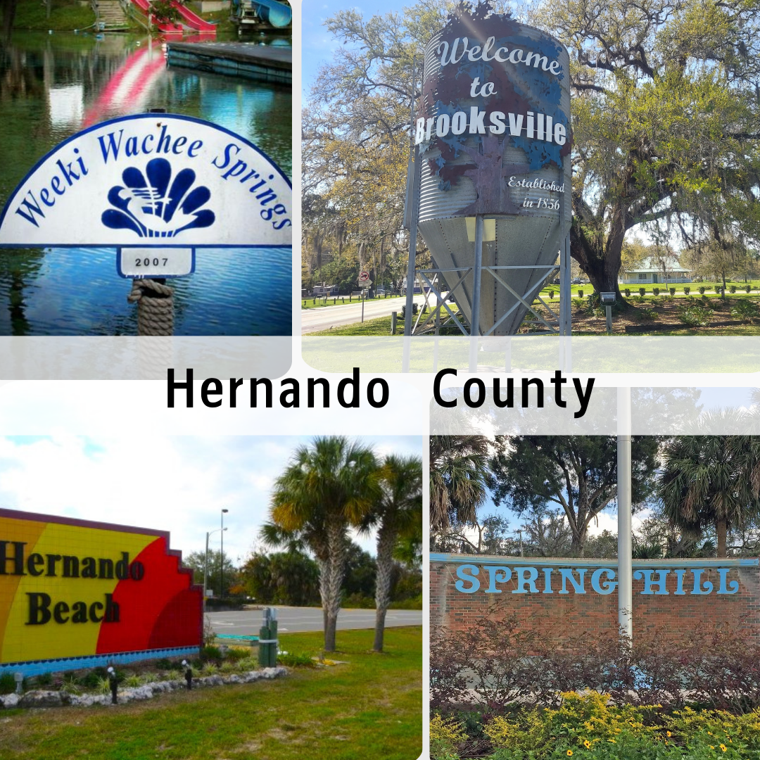 A collage of signs for herndon county
