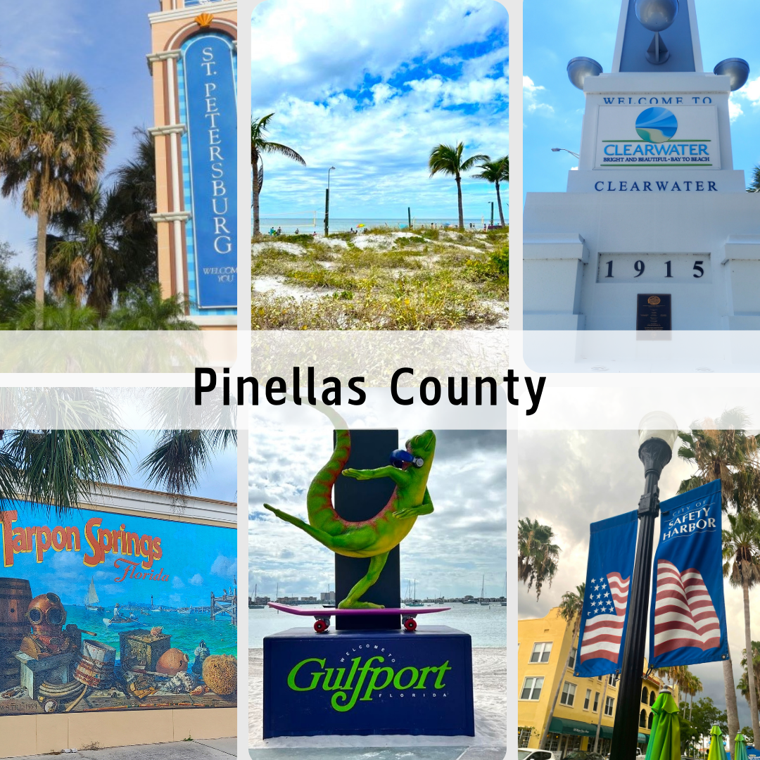 A collage of pictures of pinellas county including a lizard on a skateboard