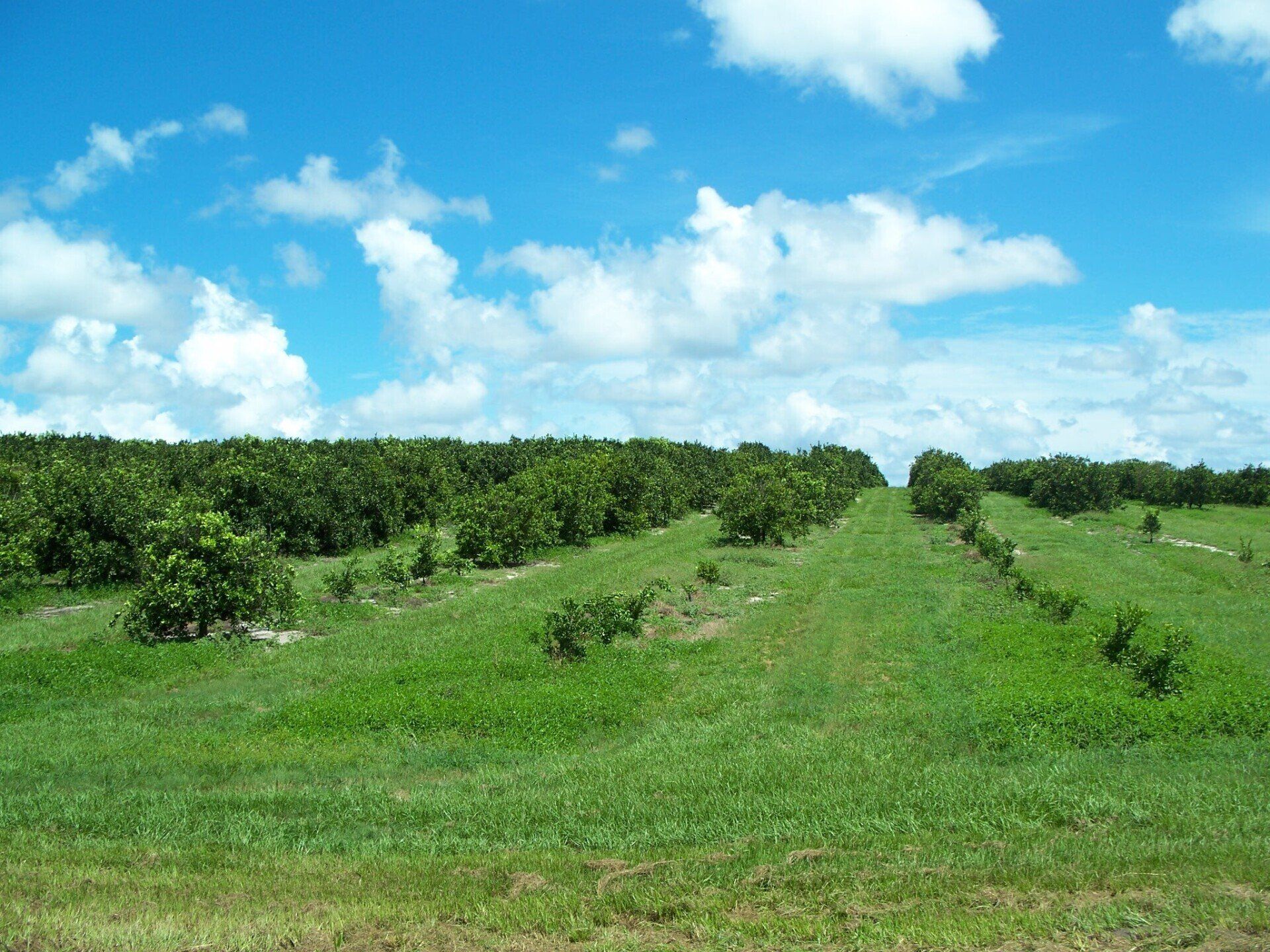 Land - Agricultural - Ranches Appraisals