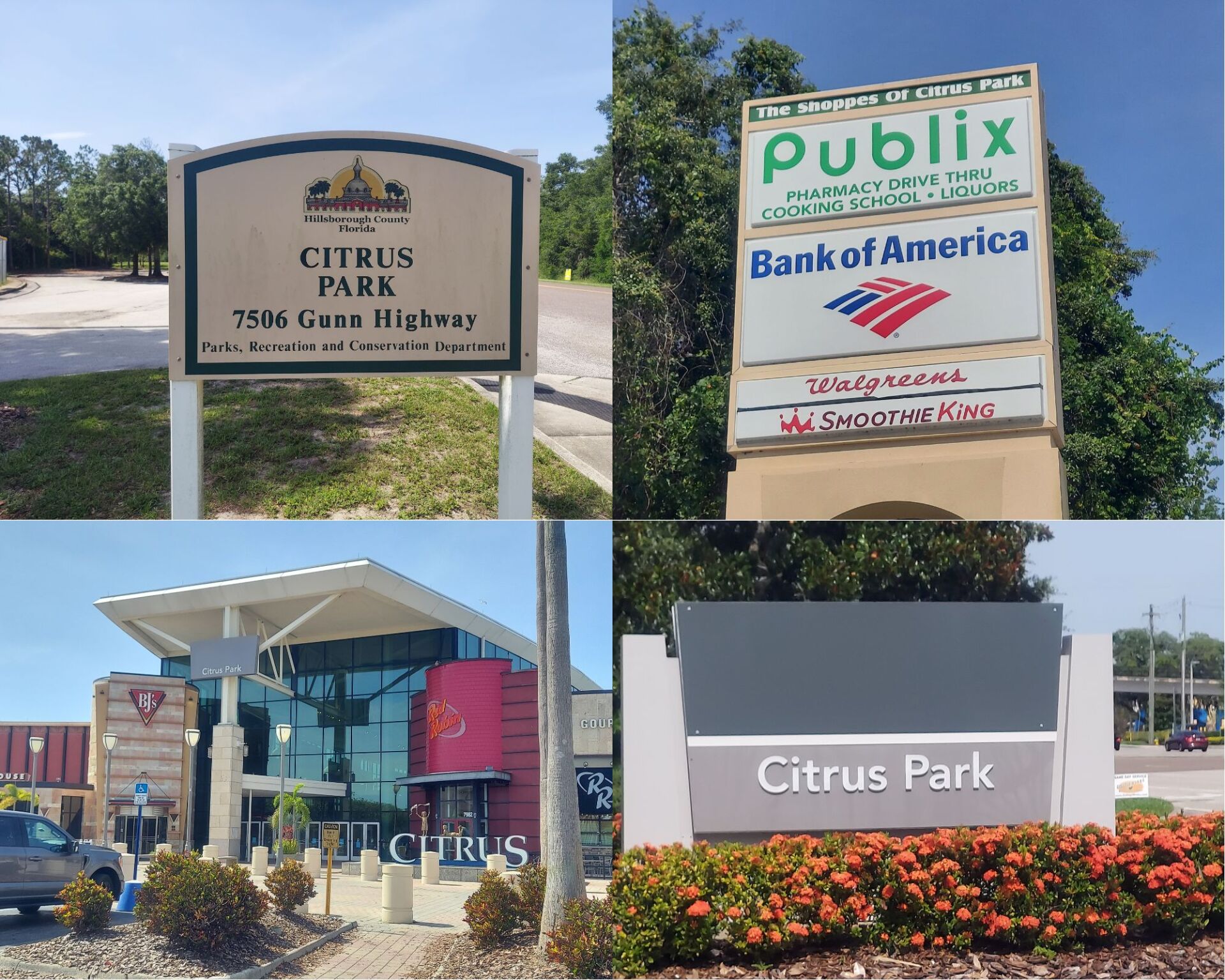 Citrus Park, Florida Photo Collage