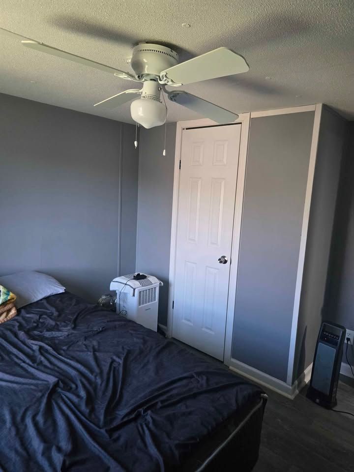 Small bedroom with gray walls, a bed, white closet door, and ceiling fan.