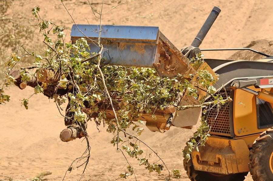 excavator carrying the woods