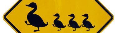 Facebook university, quack quack.