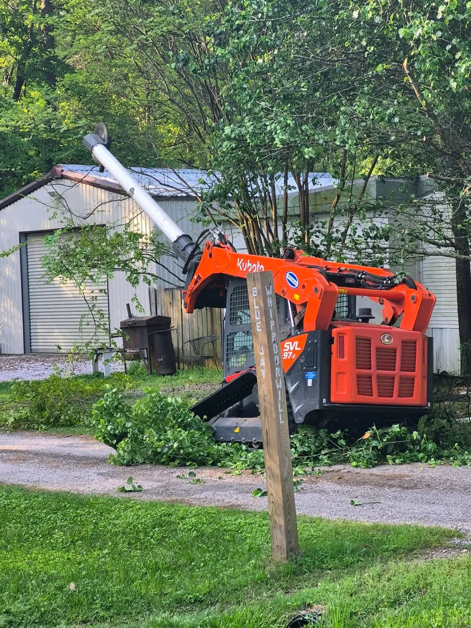 Orange skid-steer loader lifting tree branches in a residential yard with a house in the background