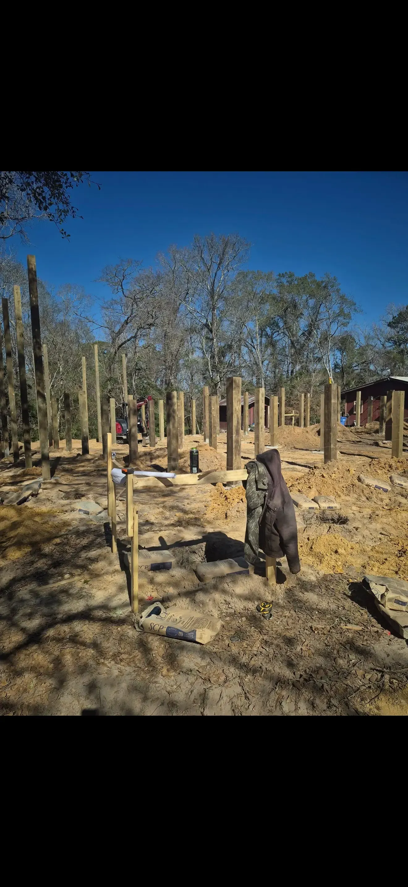 Burned woodland with charred tree stumps and dry ground under a clear blue sky