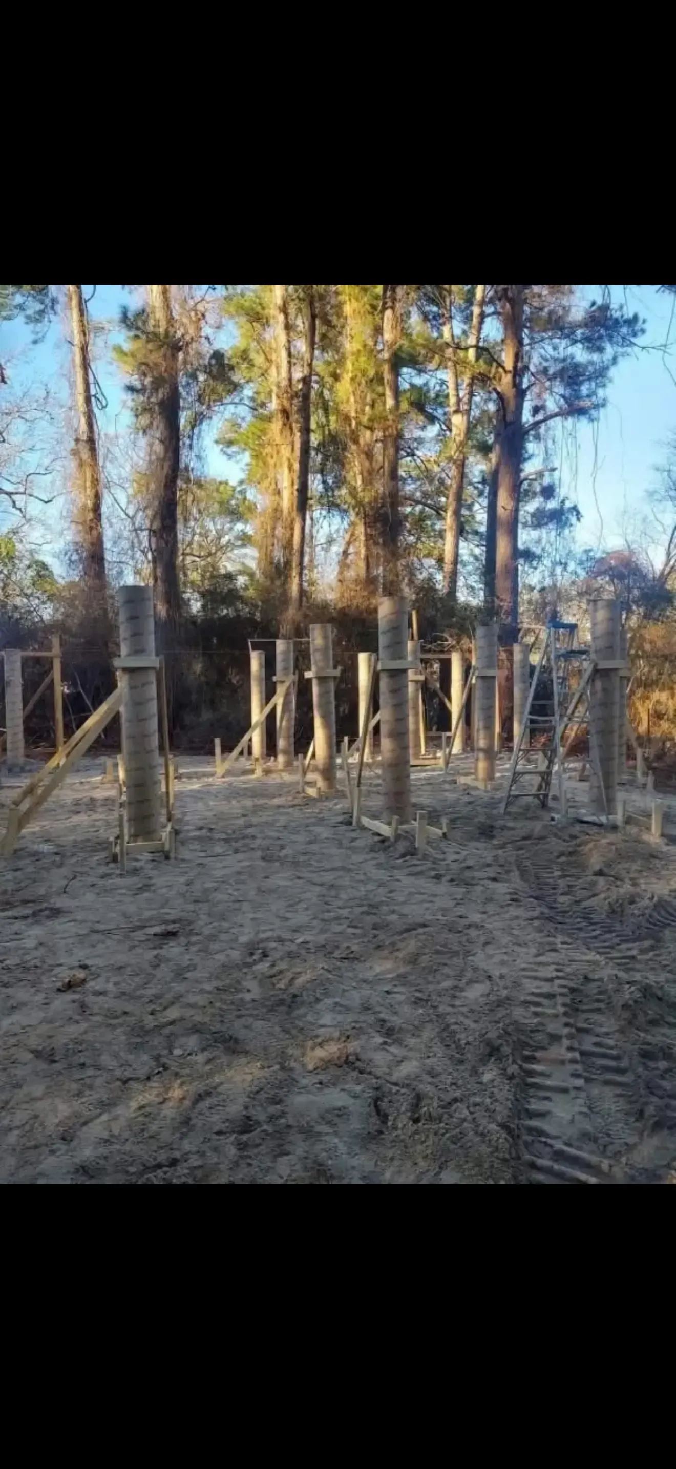Wooded outdoor enclosure with wooden posts, fencing, and tall trees in winter light