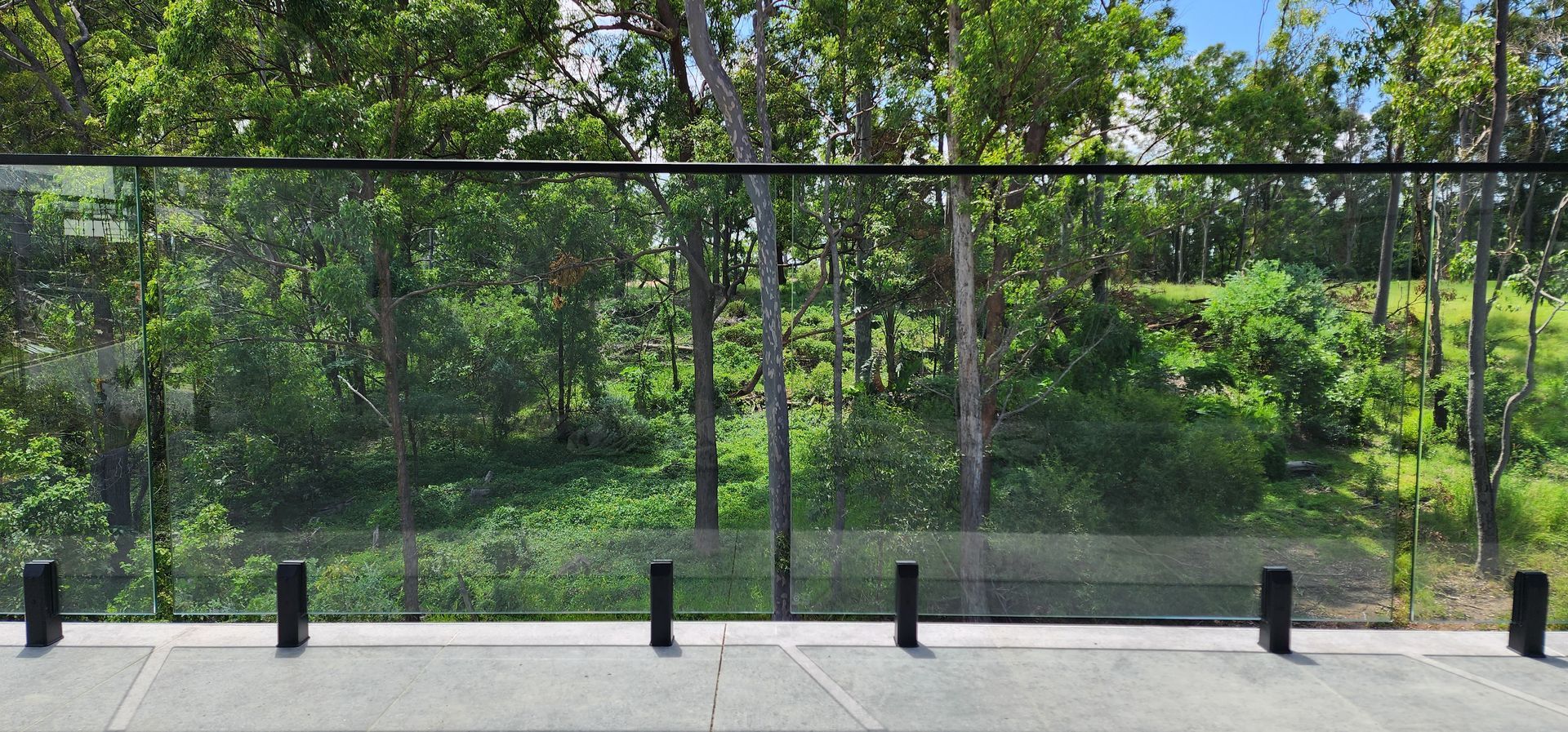 View of a forest through a glass railing with black posts and a black handrail.