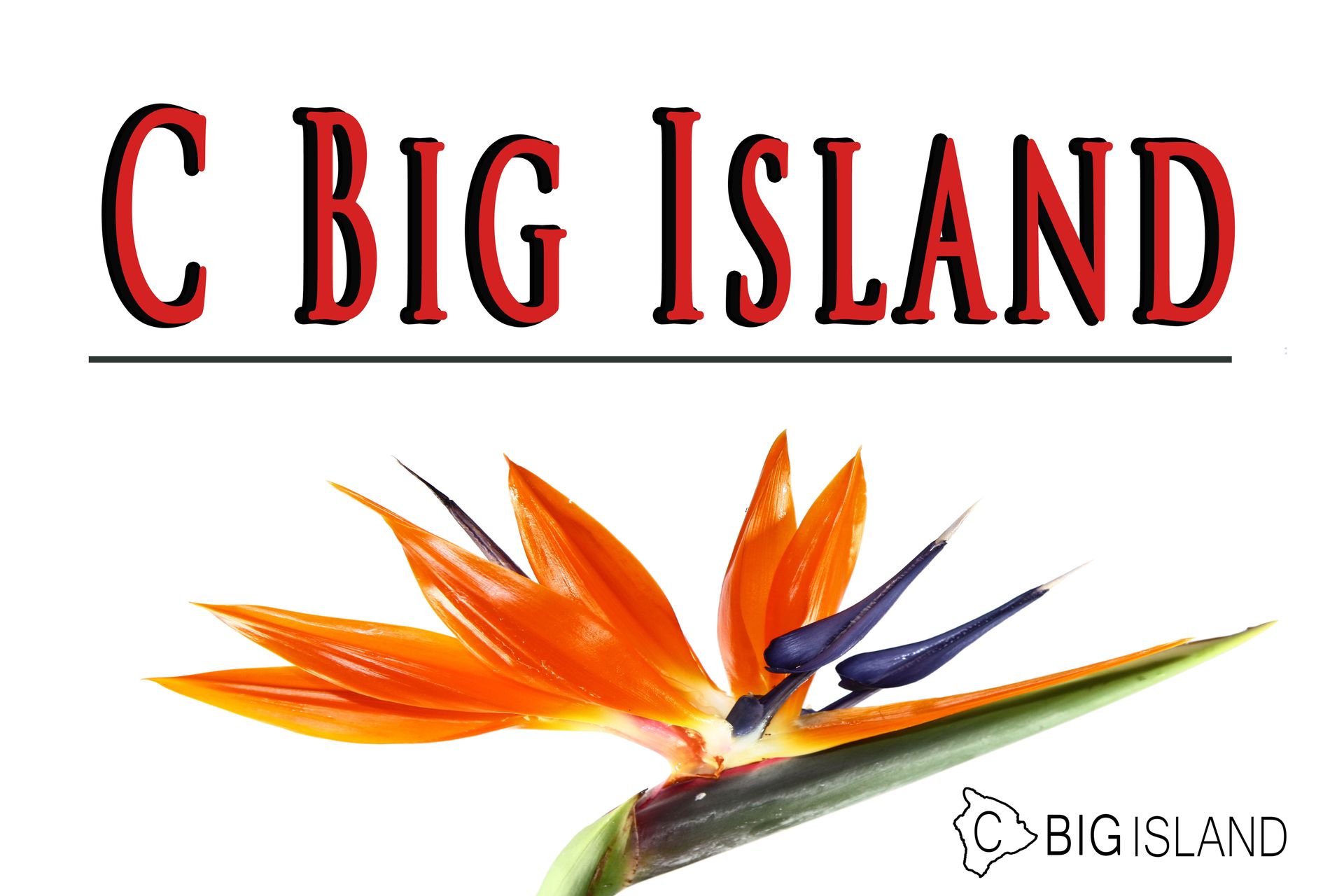 C BIG ISLAND logo with orange bird-of-paradise flower and small Big Island emblem