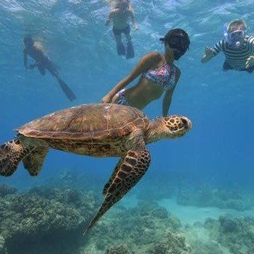 Sea turtle swimming underwater with snorkelers above over a coral reef