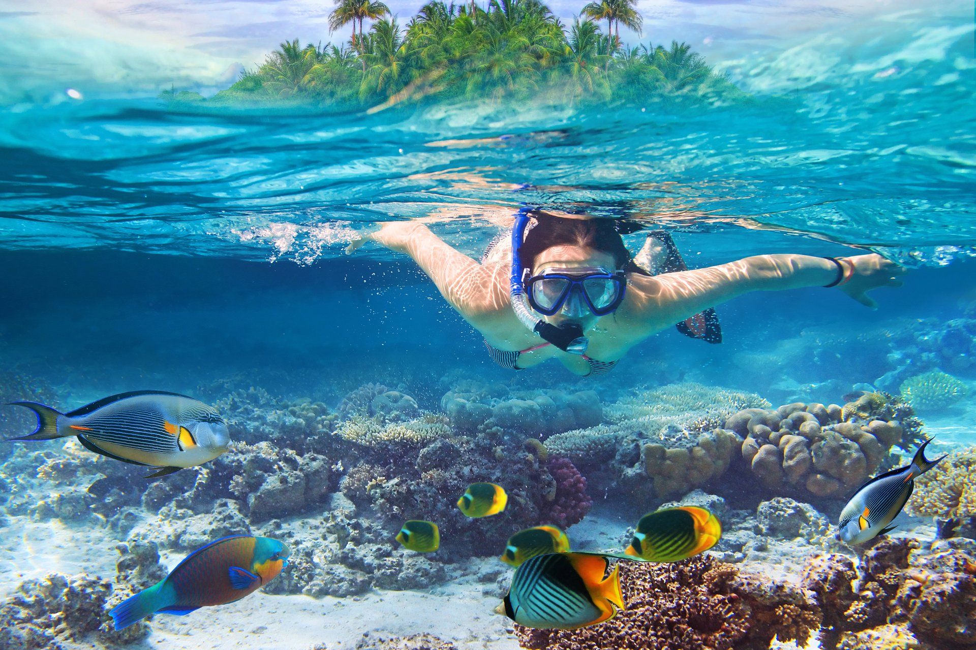 Snorkeler above colorful coral reef with tropical fish in clear turquoise water
