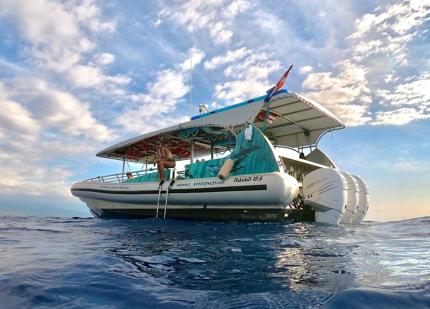 Catamaran with a canopy floating on calm blue ocean under a cloudy sky