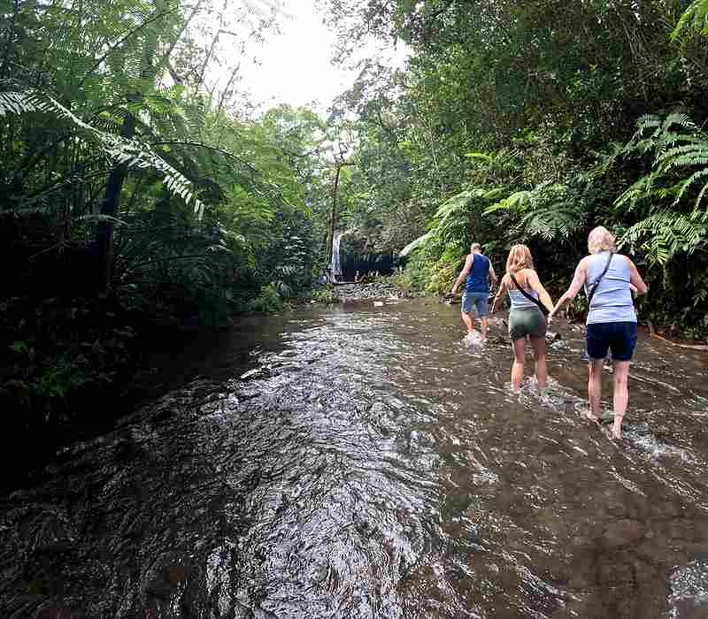 Cruise ship friendly Hana Highway tour from Kahului Port