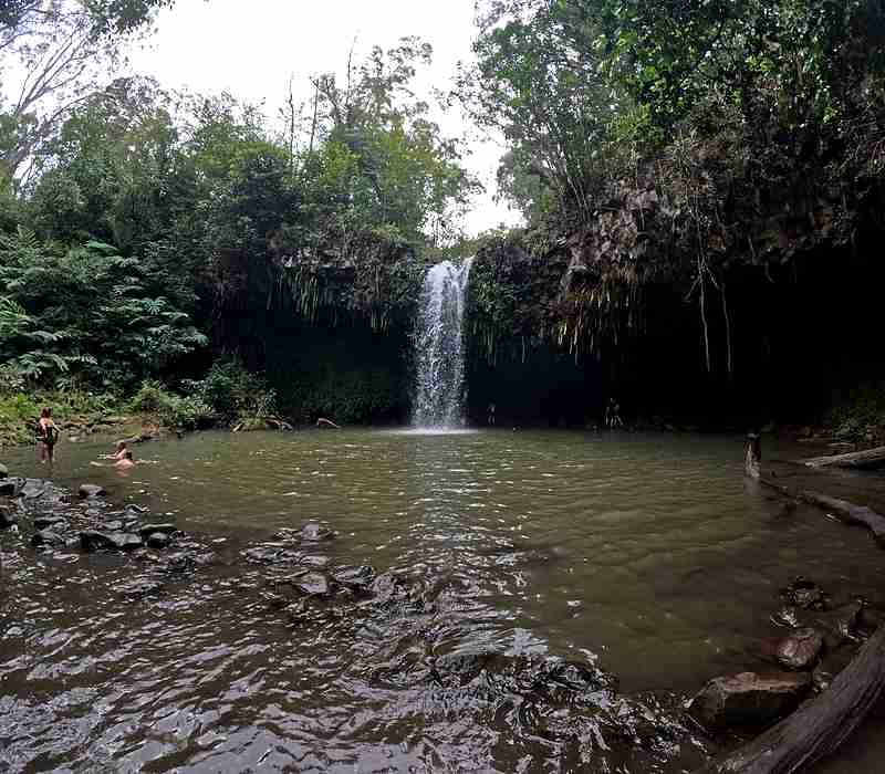 Cruise ship friendly Hana Highway tour from Kahului Port