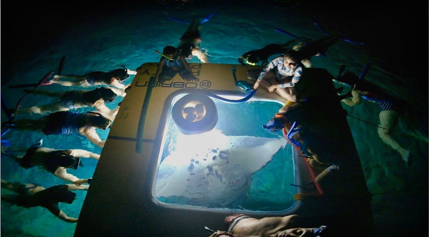 Kailua-Kona manta ray night snorkel experience in Hawaii