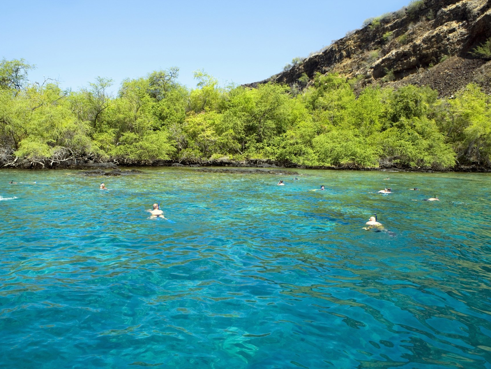Snorkel in Kealakekua Bay Captain Cook