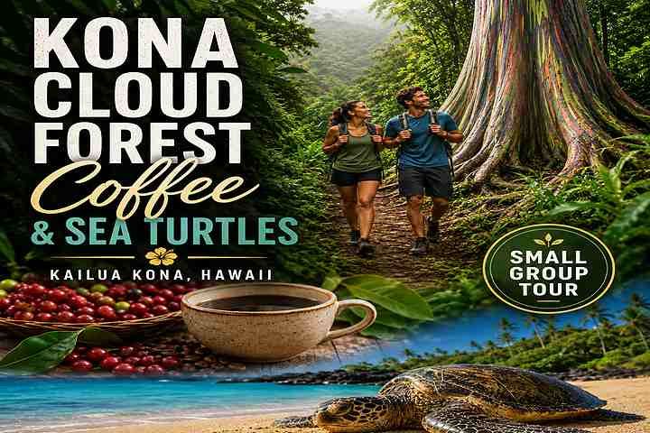 Kona Cloud Forest Sanctuary Hike. Kona Hawaii 