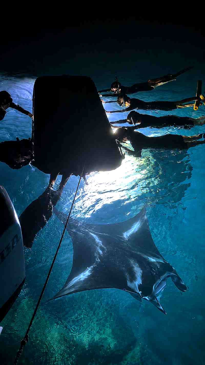 Snorkelers watching manta rays during a night snorkel tour in Kailua-Kona, Hawaii