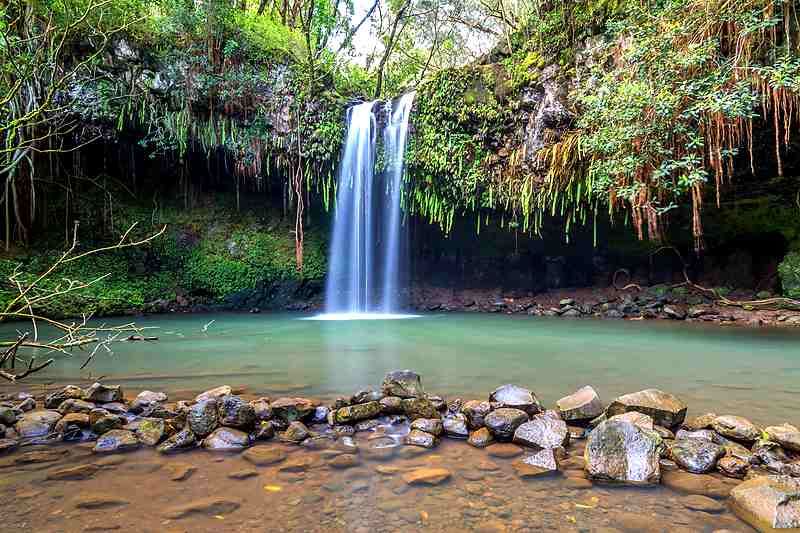 Keanae Peninsula scenic stop on private Hana Highway tour