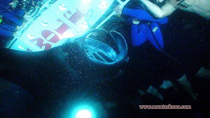 Manta Ray snorkel for kids, non-swimmers, and not-strong swimmers
