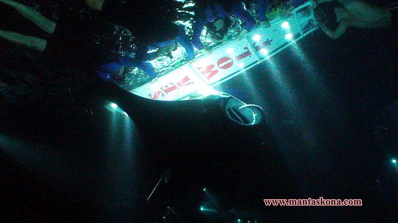 Manta Ray snorkel for kids