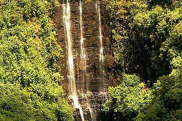 Tall waterfall cascading through dense green forest sunlight