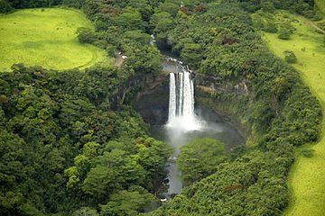 Lush green rainforest surrounding a tall waterfall plunging into a misty pool