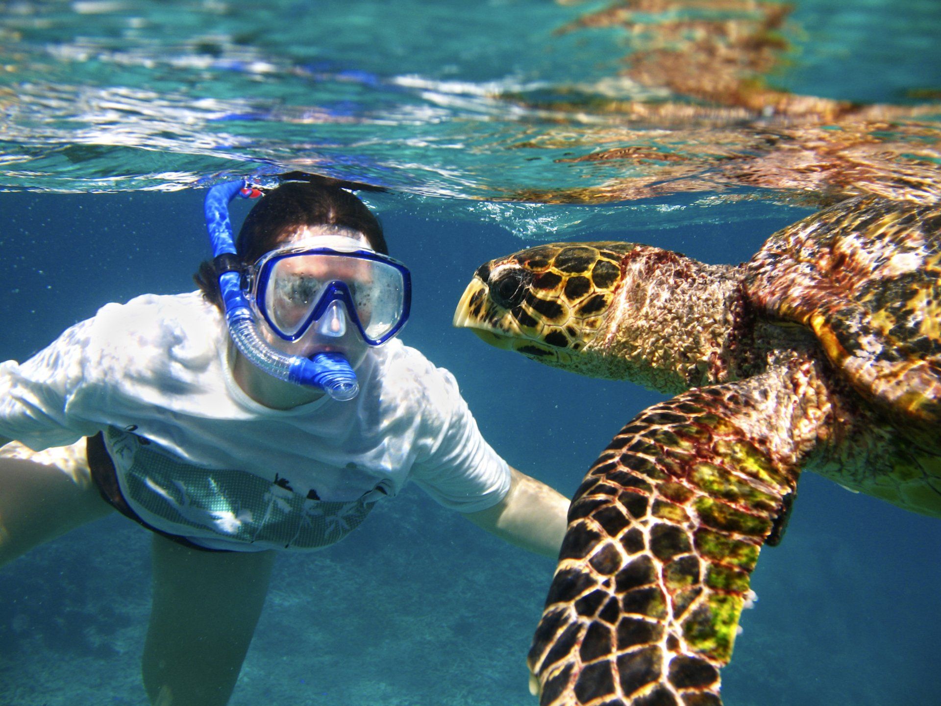 Snorkeler faces a sea turtle underwater in clear blue water