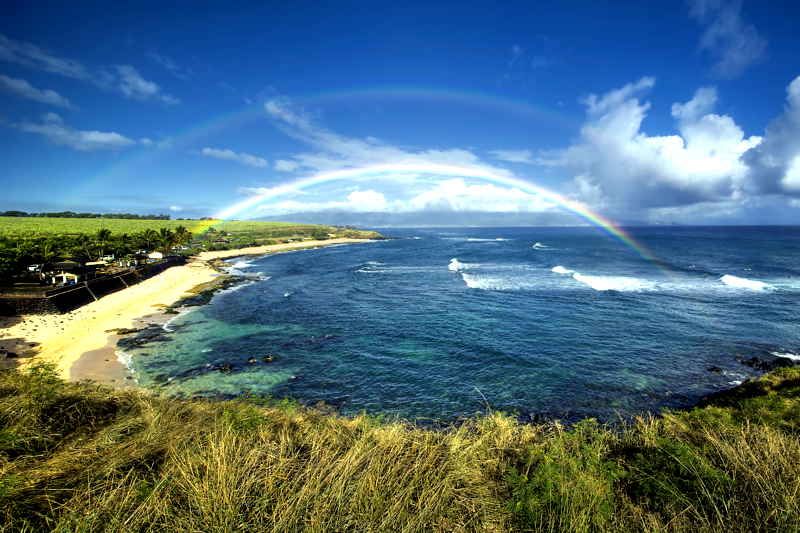 Private Maui shore excursion with Kahului cruise port pickup
