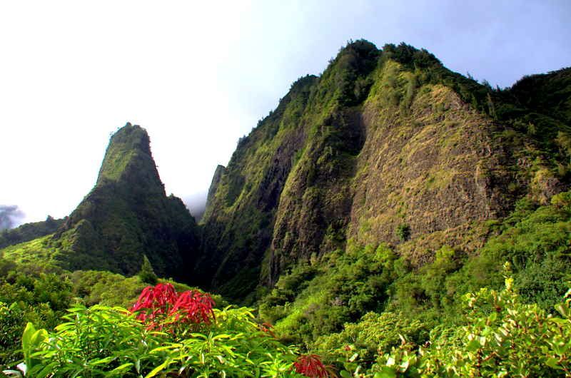 ao Valley rainforest and Iao Needle on a private Maui tour