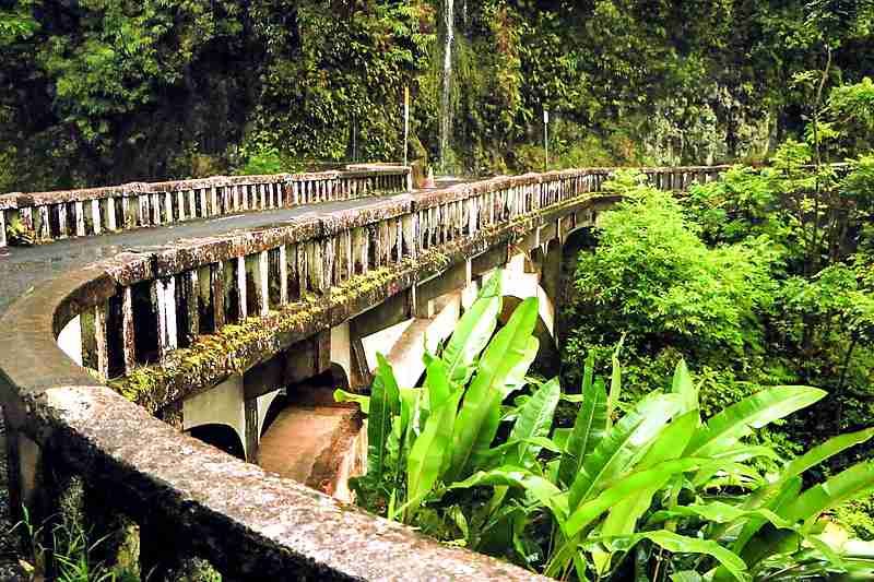 Swim in waterfalls in Maui tour