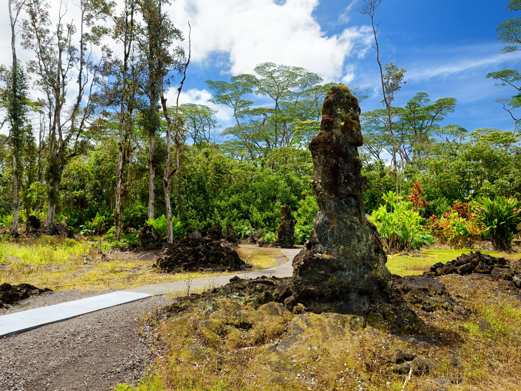 Lava tree state park 