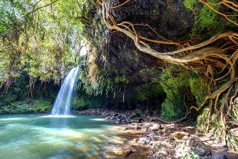 Maui private tour to Hana Highway highlights with Kahului pickup
