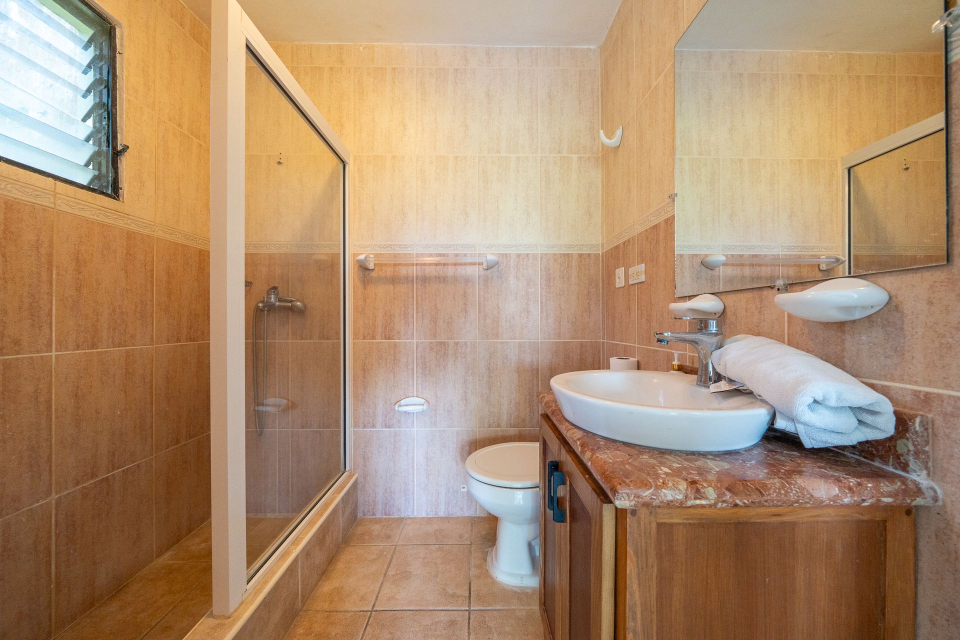 Small bathroom with tiled shower, toilet, and wooden vanity with a sink.