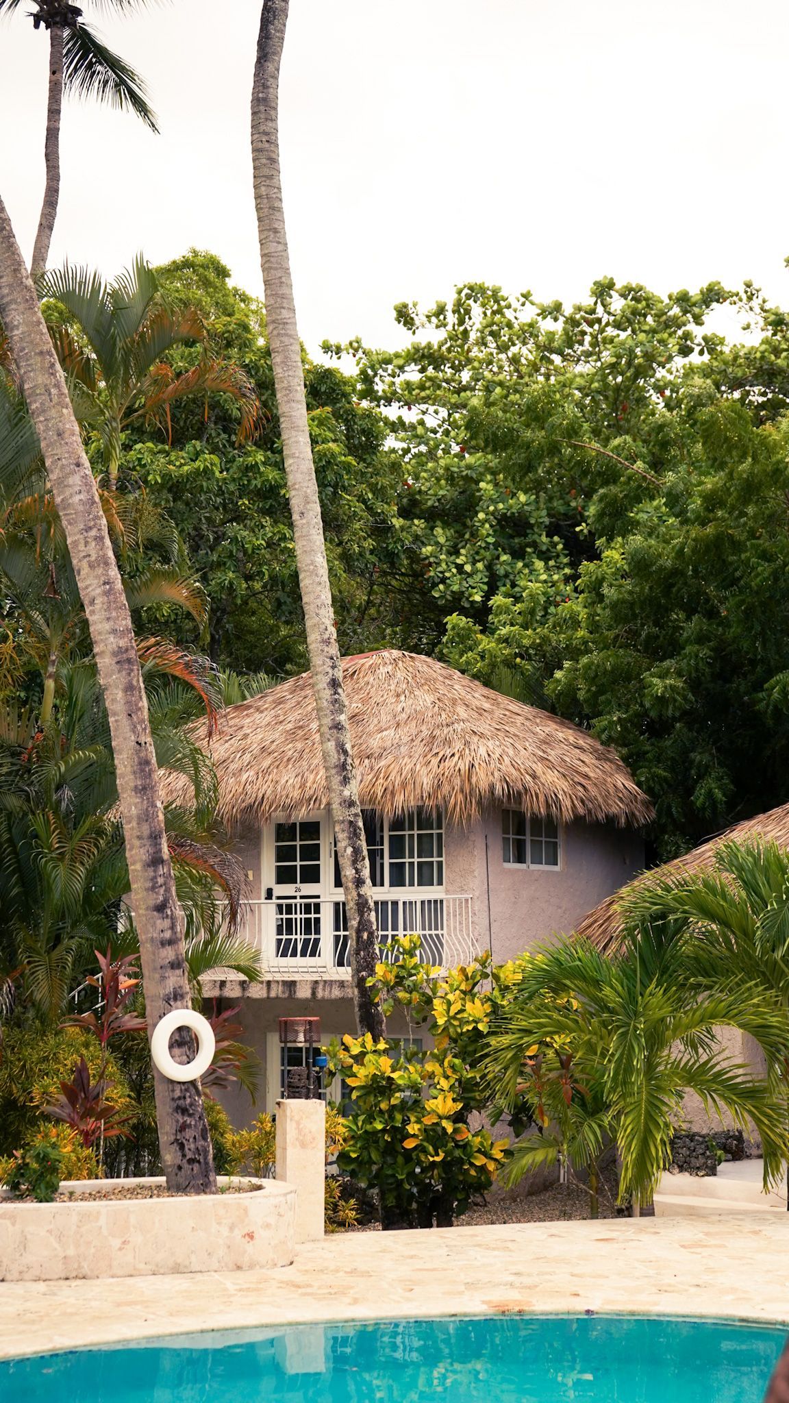 Tropical poolside cottage with thatched roof, palm trees, and lush greenery beside a swimming pool