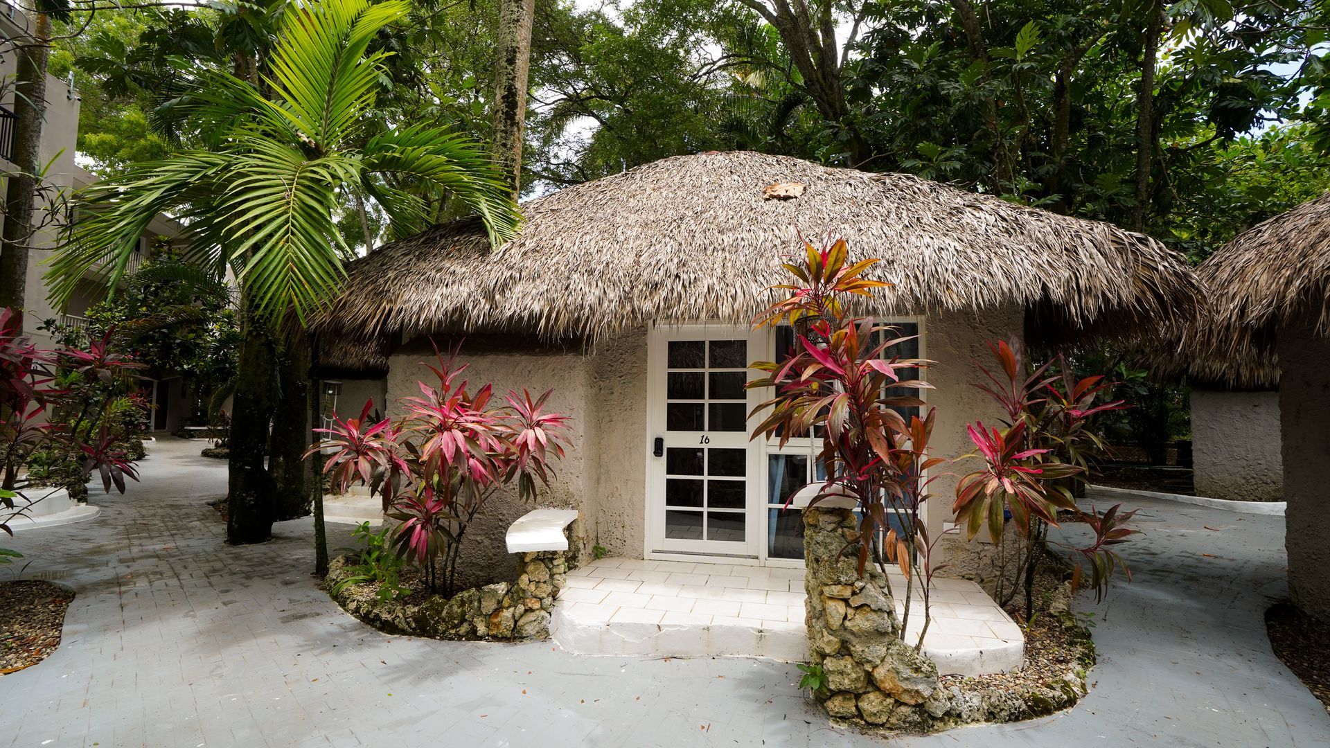 Thatched tropical cottage with white door, surrounded by lush green plants and colorful foliage