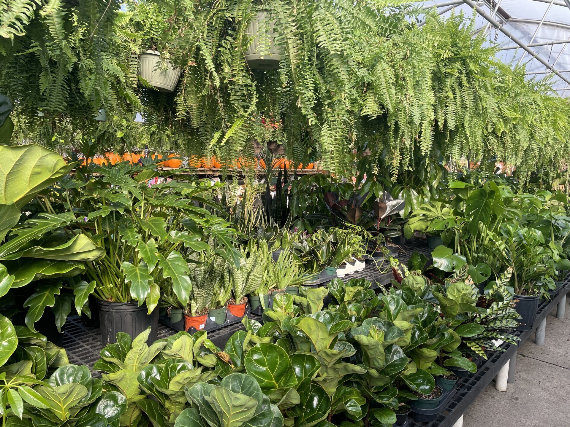 Garden Center & Gift Shop Duluth, MN Gordy's Gift and Garden