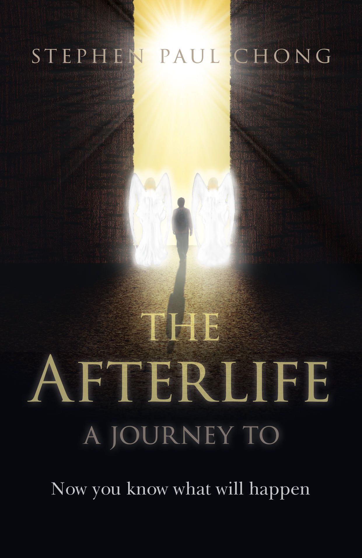 the-afterlife-book-by-stephen-chong