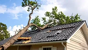 Fallen tree limb damaging a house roof under a partly cloudy sky