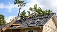 Fallen tree limb damaging a house roof under a partly cloudy sky