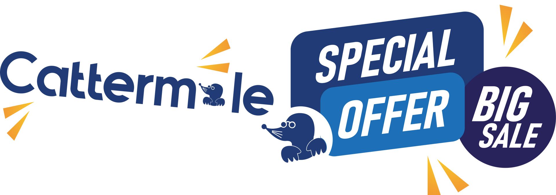 A blue and white sign that says `` special offer big sale ''