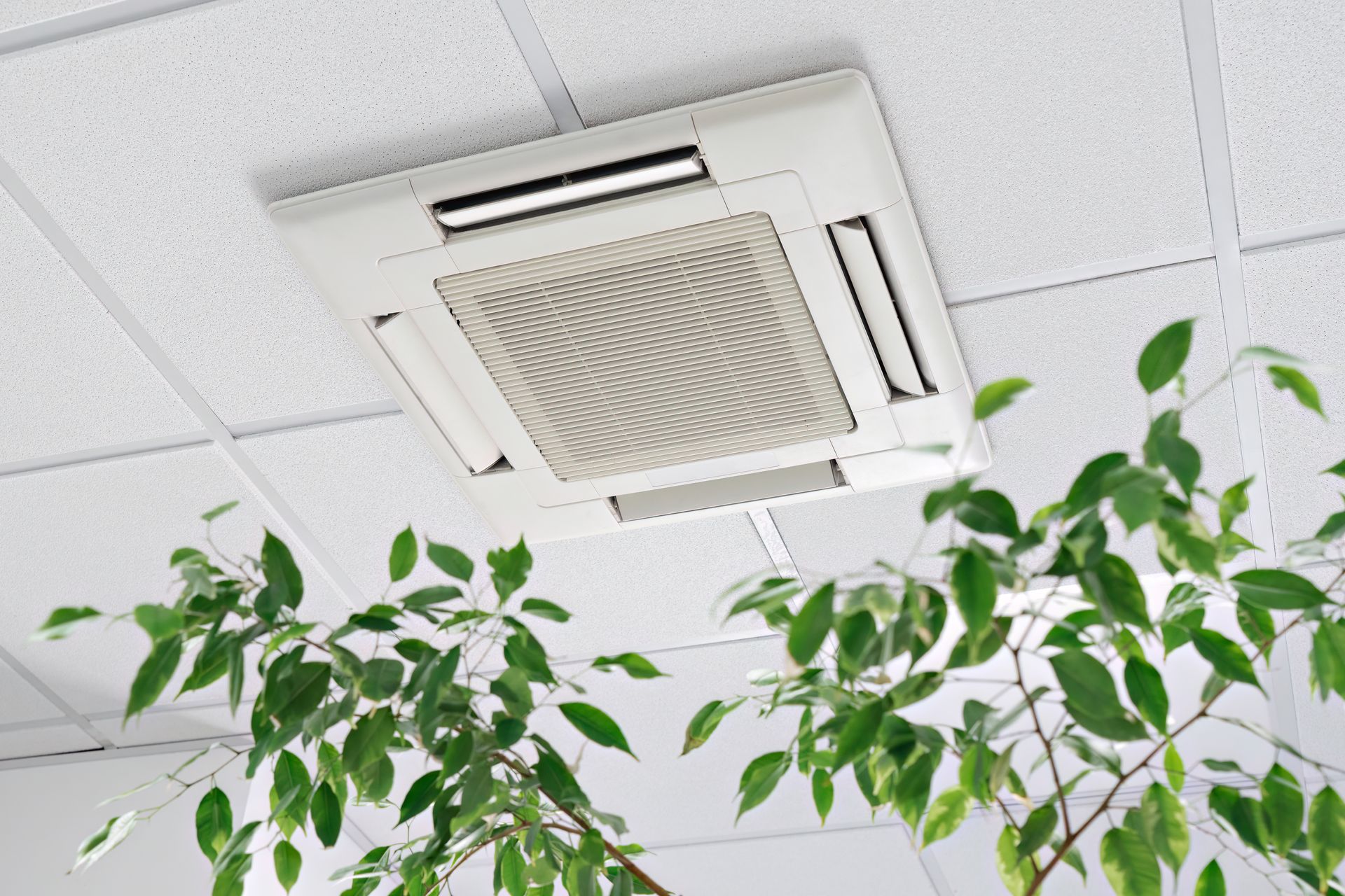 White ceiling-mounted air conditioning unit surrounded by white ceiling tiles. Green plants in foreground.