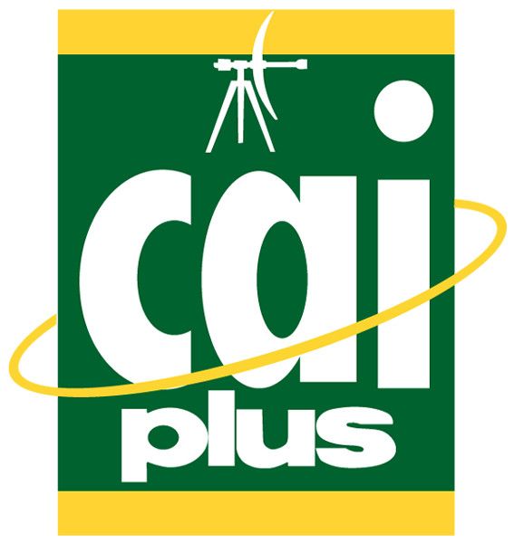 A green and yellow logo for cai plus